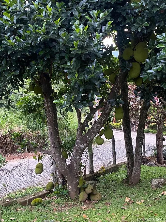 Misty Hills Villa - Kandy